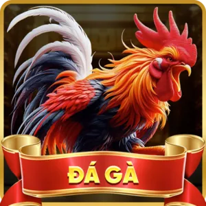 Biểu tượng Instagram